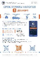 Информация о сроке уплаты налогов